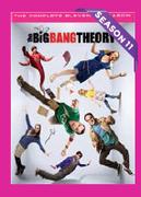 Big Bang Theory Season 11-For 2