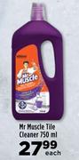 Mr Muscle Tile Cleaner-750ml Each