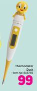Thermometer Duck