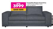 Tranquility Sleeper Couch (Grey)