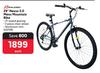 Raleigh 29" Nexus 2.0 Mens Mountain Bike-Each