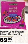 Penny Lane Frozen Mixed Berries-1Kg Each