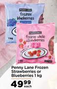 Penny Lane Frozen Strawberries Or Blueberries-1Kg Each