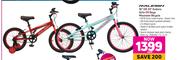 Raleigh 16" Or 20" Enduro Girlss Or Boys Mountain Bicycle-Each
