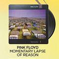 Pink Floyd Momentary Lapse Of Reason Vinyl-For 2