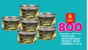 Postas de Atum em Oleo Vegetal Royal Umbrella-6 x 185g