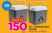 Pride 25Ltr Cooler Box Silver-Each