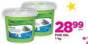 Pine Gel-1Kg Each