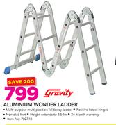 Gravity Aluminium Wonder ladder