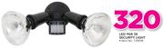 LED Par 38 Security Light