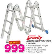 Gravity Aluminium Wonder Ladder