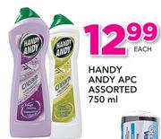 Handy Andy Assorted-750ml Each