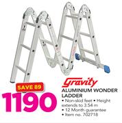 Gravity Aluminium Wonder Ladder