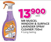 Mr Muscle Window & Surface Lavender Spray Cleaner-750ml