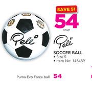 Puma Evo Force Ball