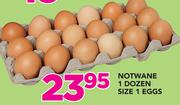 Notwane 1 Dozen Size 1 Eggs
