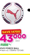Puma Evo Force Ball-Each