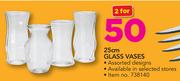 25cm Glass Vases-For 2