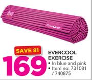 Everlast Evercool Exercise In Blue Or Pink-Each