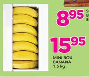 Mini Box Banana-1.5Kg