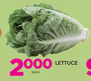 Lettuce-Each