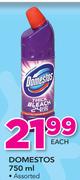 Domestos Assorted-750ml