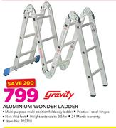 Gravity Aluminium Wonder Ladder