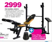 Everlast Pro Barbell Bench