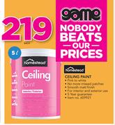 Homestead 5Ltr Ceiling Paint
