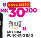 Everlast Medium Punching Bag