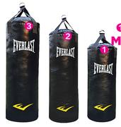 Everlast Large Punching Bag
