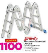 1Gravity Aluminium Wonder Ladder
