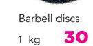 Everlast Barbell Discs-1Kg