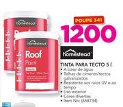 Homestead tinta para tecto 5Ltr