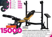 Everlast Banco para exercício Pro