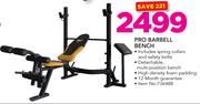 Everlast Pro Barbell Bench Including Spring Collars & Safety Bolts