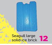 Seagull Large Solid Ice Brick