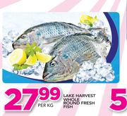Lake Harvest Whole Round Fresh Fish-Per Kg