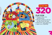 Babygro Play Gym