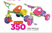 Peerless Kids Tricycle-Each