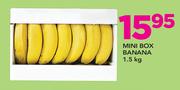 Mini Box Banana-1.5Kg