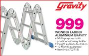 Gravity Wonder Ladder Aluminium 