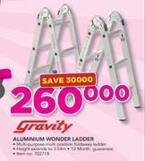 Gravity Aluminium Wonder Ladder