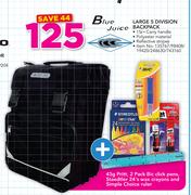 Blue Juice Large 5 Division Backpack