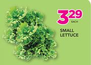 Small Lettuce-Each