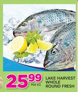 Lake Harvest Whole Round Fresh-Per Kg