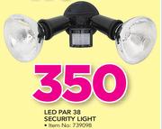 LED Par 38 Security Light