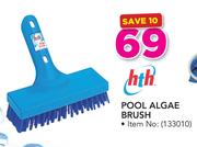HTH Pool Algae Brush