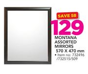 Montana Assorted Mirrors 570X470mm