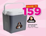 Pride Cooler Box Silver-25Ltr